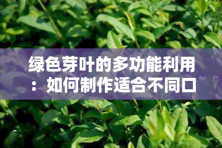 绿色芽叶的多功能利用：如何制作适合不同口味的茶饮