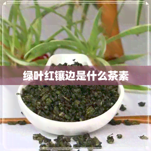 绿叶红镶边是什么茶素