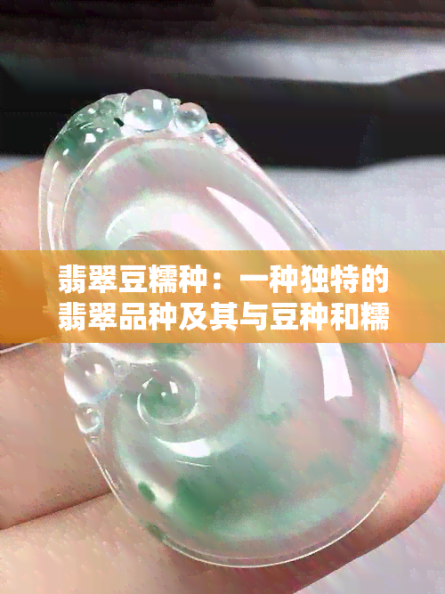 翡翠豆糯种：一种独特的翡翠品种及其与豆种和糯种的区别解析