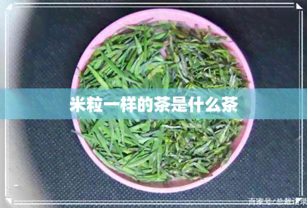 米粒一样的茶是什么茶