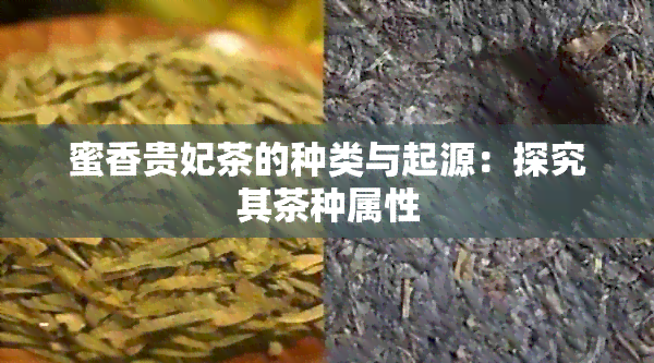 蜜香贵妃茶的种类与起源：探究其茶种属性