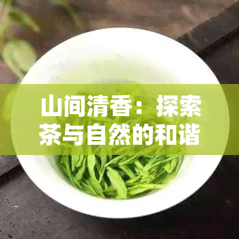 山间清香：探索茶与自然的和谐之美