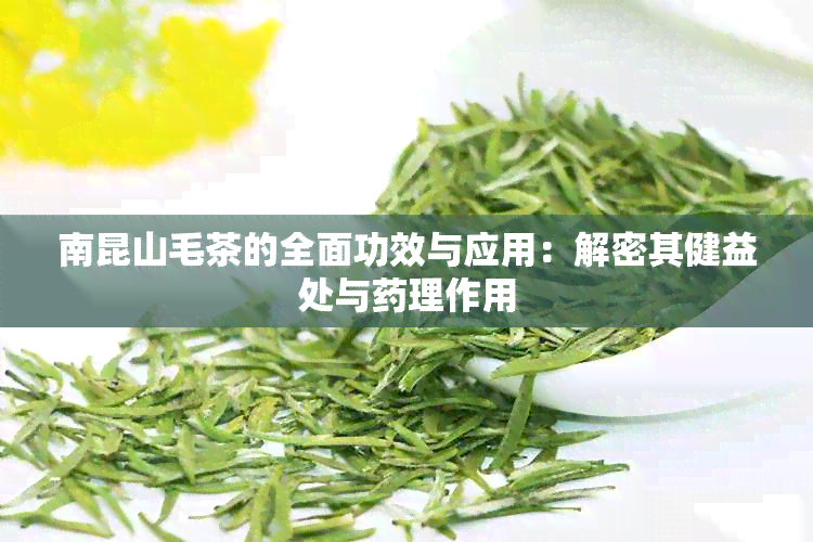 南昆山毛茶的全面功效与应用：解密其健益处与理作用