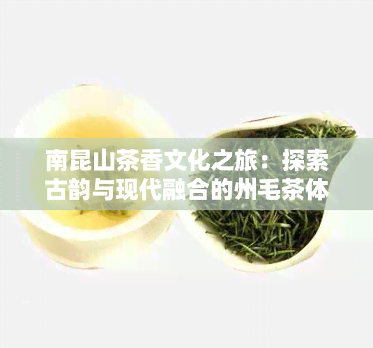 南昆山茶香文化之旅：探索古韵与现代融合的州毛茶体验营