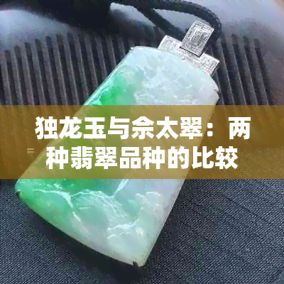 独龙玉与佘太翠：两种翡翠品种的比较与选择