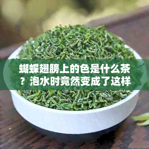 蝴蝶翅膀上的色是什么茶？泡水时竟然变成了这样！