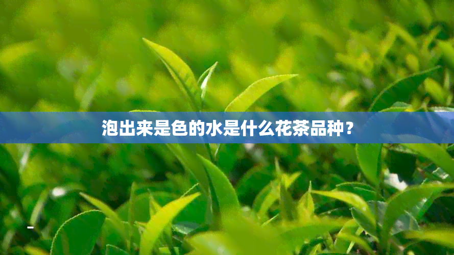 泡出来是色的水是什么花茶品种？