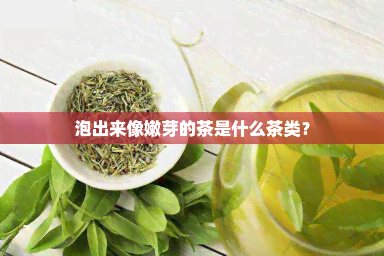 泡出来像嫩芽的茶是什么茶类？