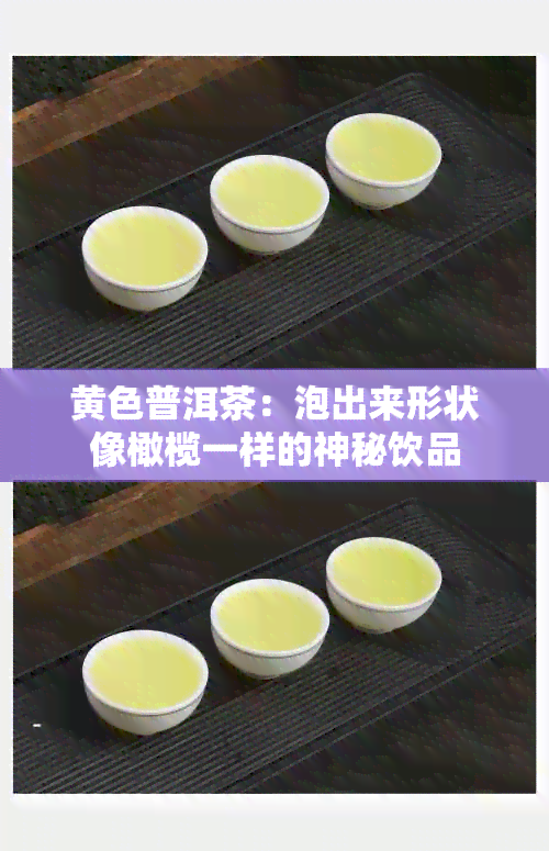 黄色普洱茶：泡出来形状像橄榄一样的神秘饮品