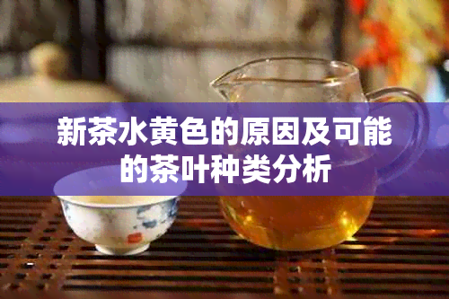 新茶水黄色的原因及可能的茶叶种类分析