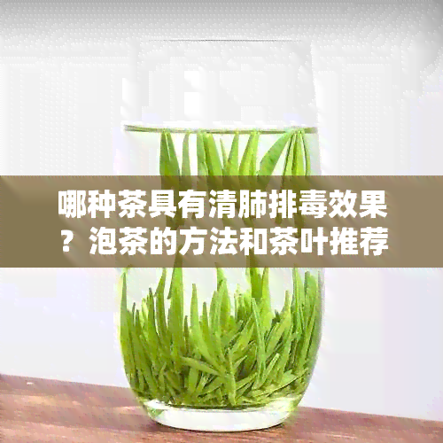 哪种茶具有清肺排效果？泡茶的方法和茶叶推荐