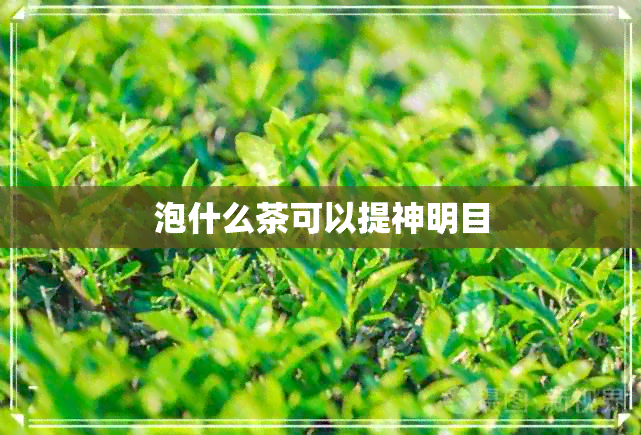 泡什么茶可以提神明目