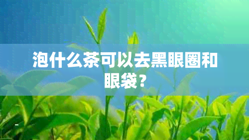 泡什么茶可以去黑眼圈和眼袋？