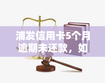 浦发信用卡5个月逾期未还款，如何解决？