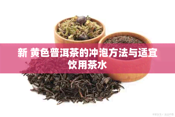 新 黄色普洱茶的冲泡方法与适宜饮用茶水