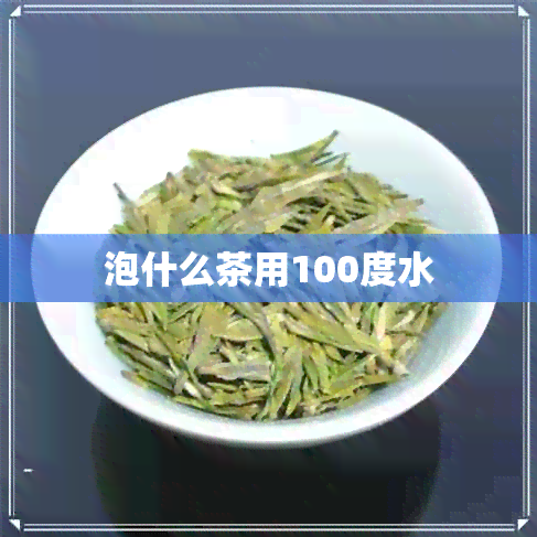 泡什么茶用100度水