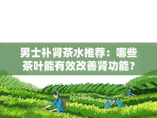 男士补肾茶水推荐：哪些茶叶能有效改善肾功能？