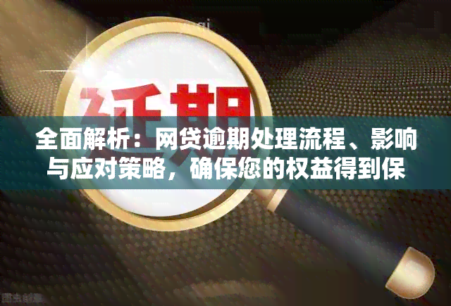 全面解析：网贷逾期处理流程、影响与应对策略，确保您的权益得到保障