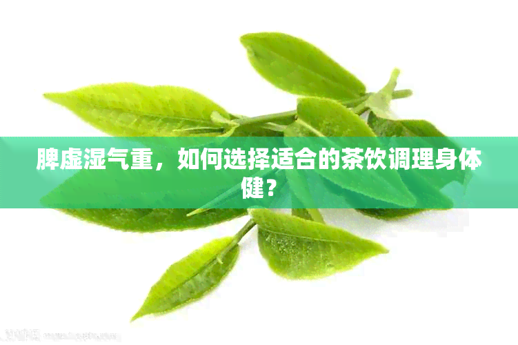 脾虚湿气重，如何选择适合的茶饮调理身体健？