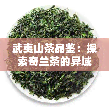 武夷山茶品鉴：探索奇兰茶的异域风味与独特魅力