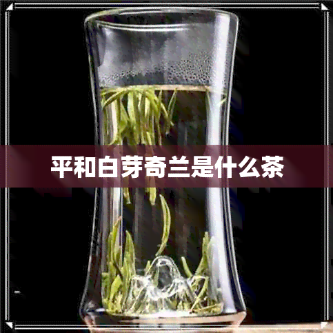 平和白芽奇兰是什么茶