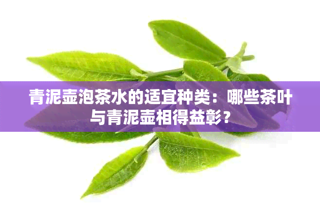 青泥壶泡茶水的适宜种类：哪些茶叶与青泥壶相得益彰？