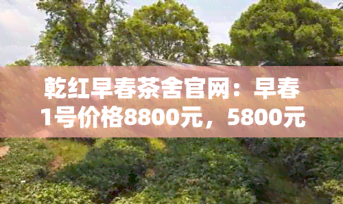 乾红早春茶舍官网：早春1号价格8800元，5800元一览表