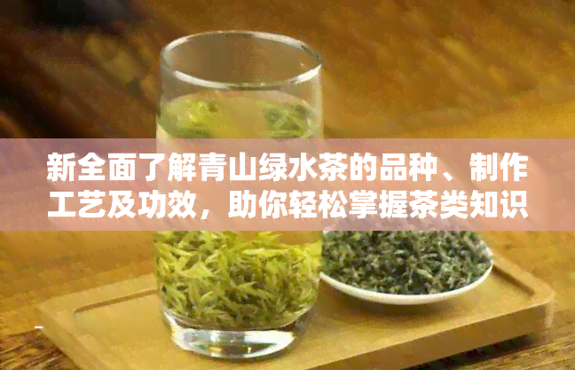 新全面了解青山绿水茶的品种、制作工艺及功效，助你轻松掌握茶类知识