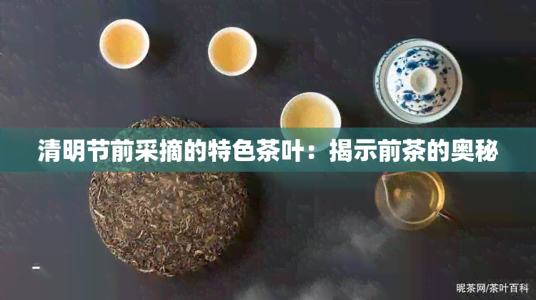 清明节前采摘的特色茶叶：揭示前茶的奥秘