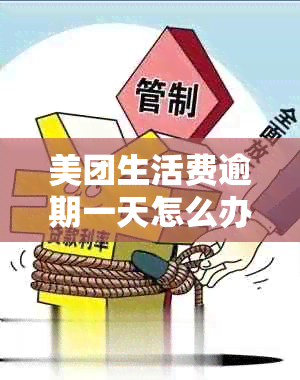 美团生活费逾期一天怎么办啊：逾期后果、恢复借款及逾期天数限制全解析