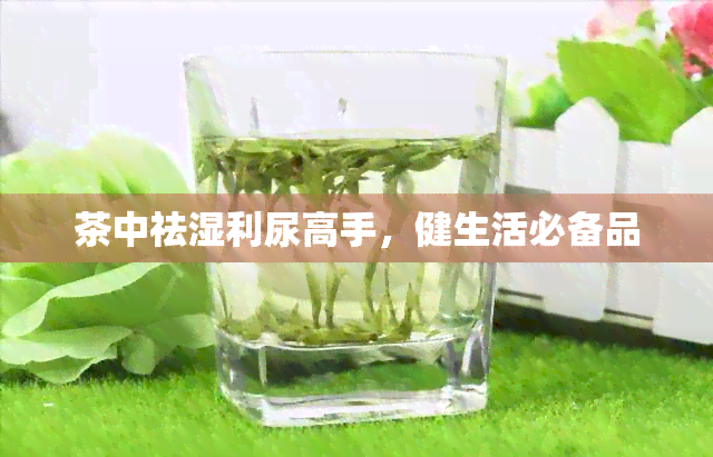 茶中祛湿利尿高手，健生活必备品