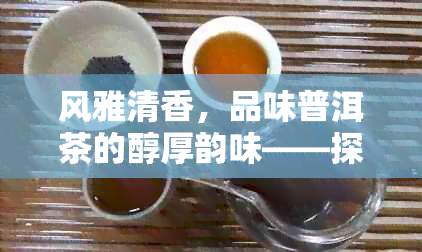 风雅清香，品味普洱茶的醇厚韵味——探寻清风雅韵