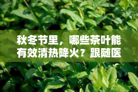 秋冬节里，哪些茶叶能有效清热降火？跟随医生的建议，选择最适合你的茶品