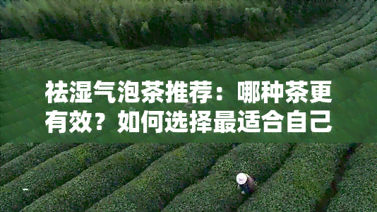 祛湿气泡茶推荐：哪种茶更有效？如何选择最适合自己体质的茶？