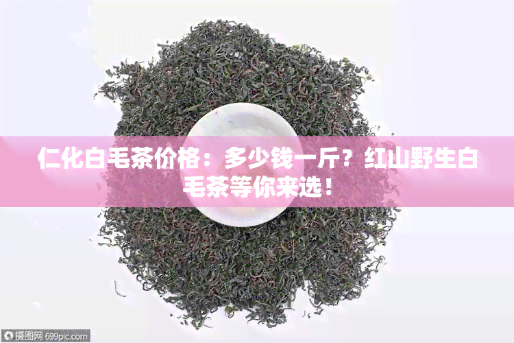 仁化白毛茶价格：多少钱一斤？红山野生白毛茶等你来选！