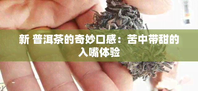 新 普洱茶的奇妙口感：苦中带甜的入嘴体验