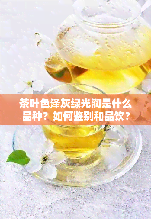 茶叶色泽灰绿光润是什么品种？如何鉴别和品饮？