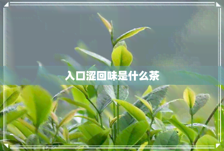 入口涩回味是什么茶