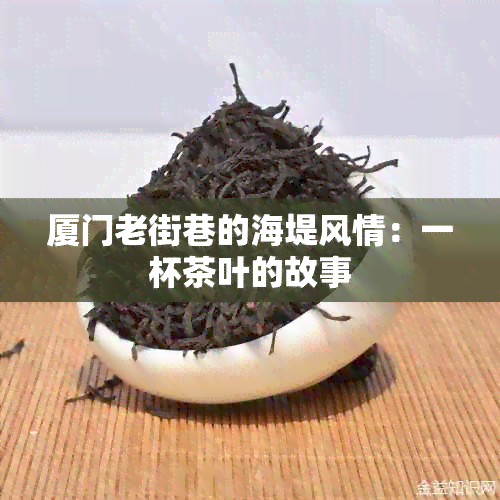 厦门老街巷的海堤风情：一杯茶叶的故事