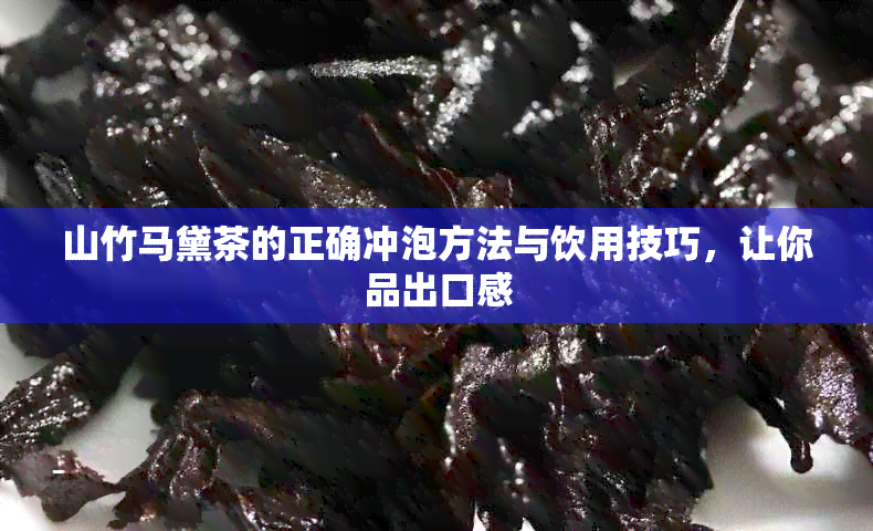 山竹马黛茶的正确冲泡方法与饮用技巧，让你品出口感