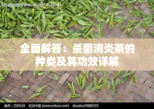 全面解答：杀菌消炎茶的种类及其功效详解