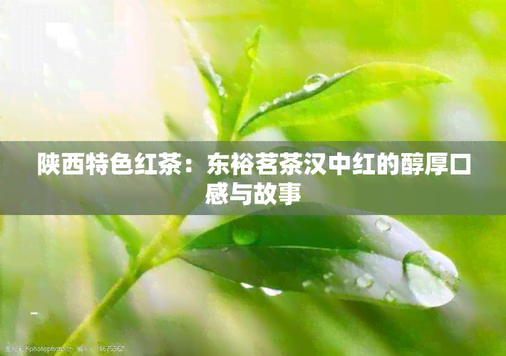 陕西特色红茶：东裕茗茶汉中红的醇厚口感与故事