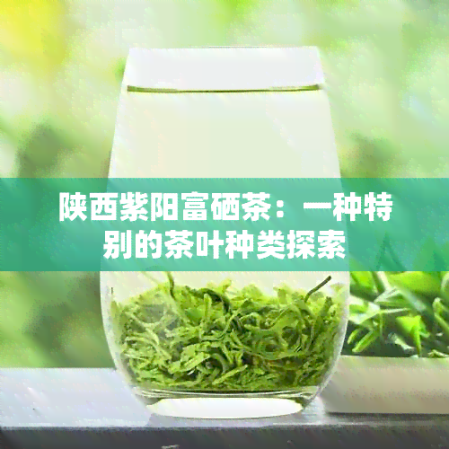 陕西 *** 富硒茶：一种特别的茶叶种类探索