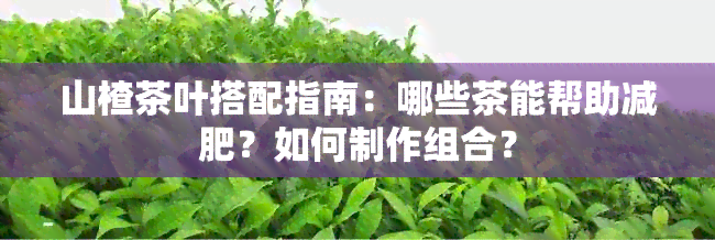 山楂茶叶搭配指南：哪些茶能帮助减肥？如何制作组合？