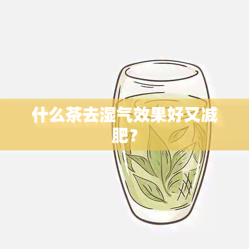 什么茶去湿气效果好又减肥？