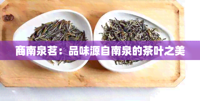 商南泉茗：品味源自南泉的茶叶之美