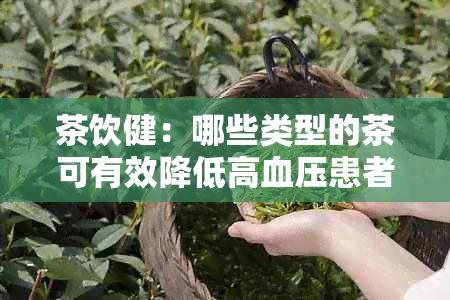 茶饮健：哪些类型的茶可有效降低高血压患者的血压？