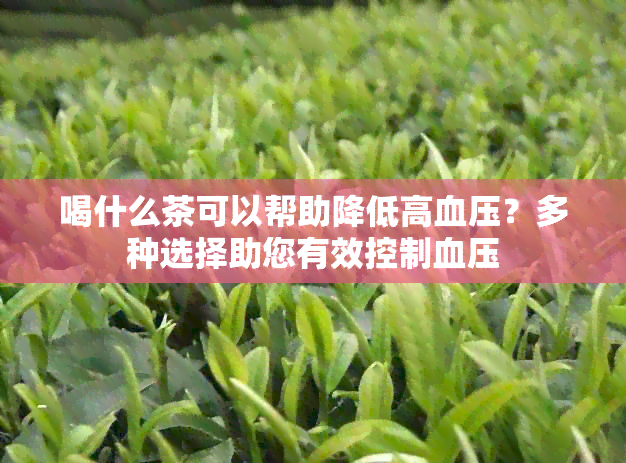 喝什么茶可以帮助降低高血压？多种选择助您有效控制血压