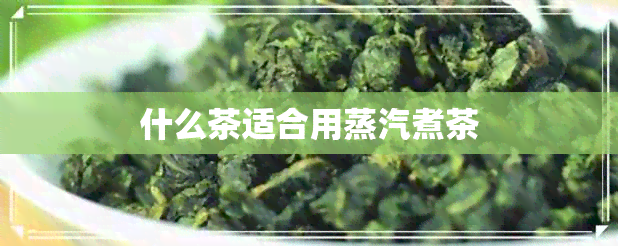 什么茶适合用蒸汽煮茶