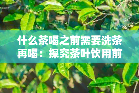 什么茶喝之前需要洗茶再喝：探究茶叶饮用前的清洁过程